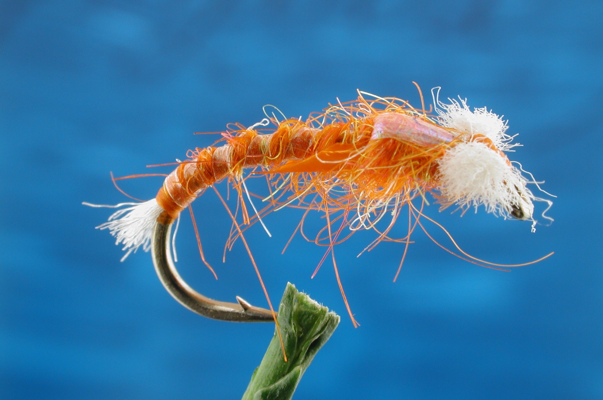 Sids Standard Fire Orange Buzzer