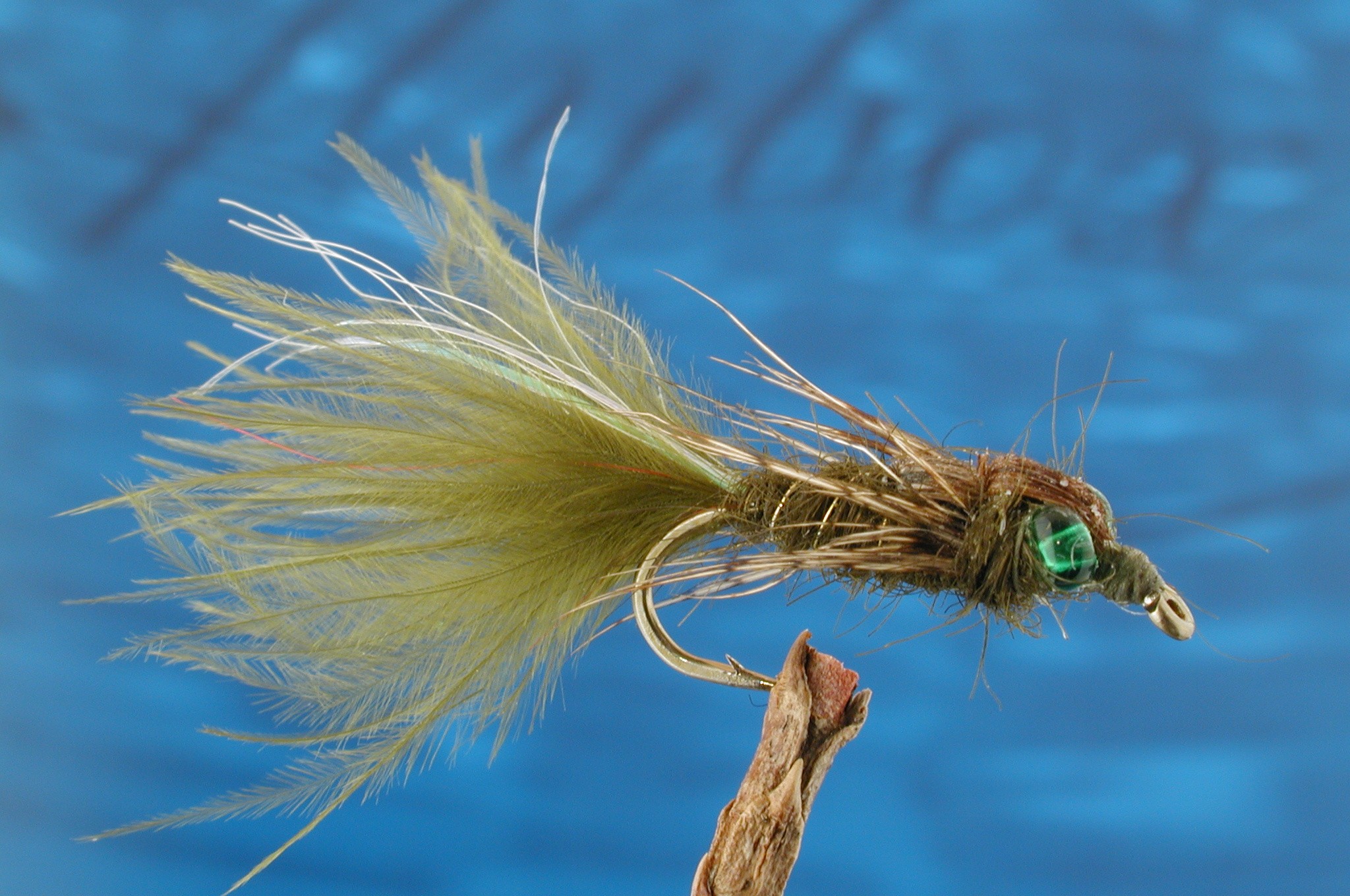 Leaded Eyed Marabuo Damsel Medium Olive Nymph