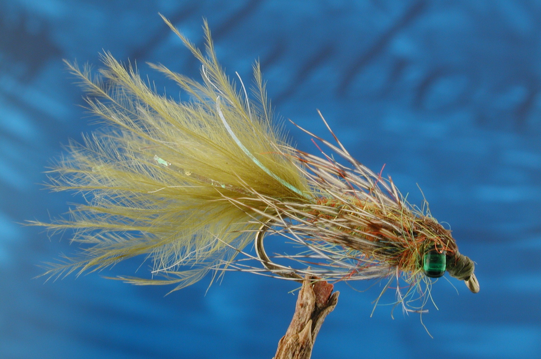 Leaded Eyed Marabuo Damsel Light Olive Nymph