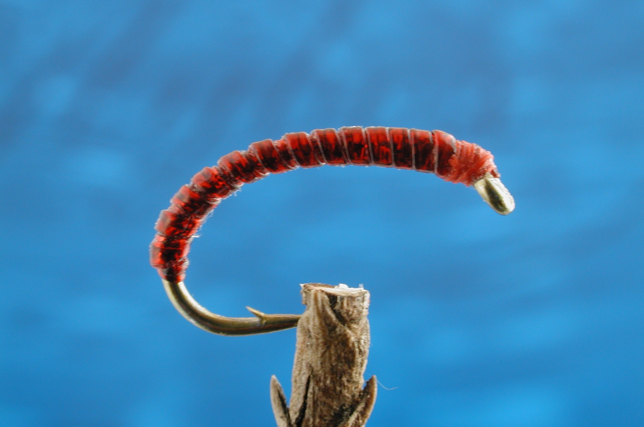 Elite Bloodworm
