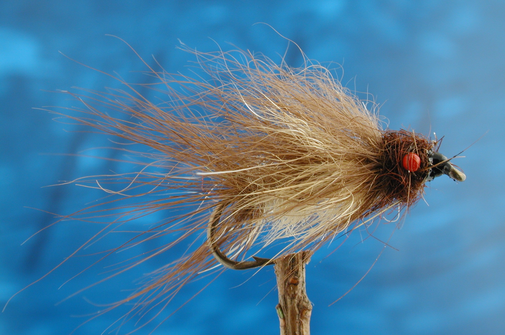 Hairy Red Eyed Mayfly