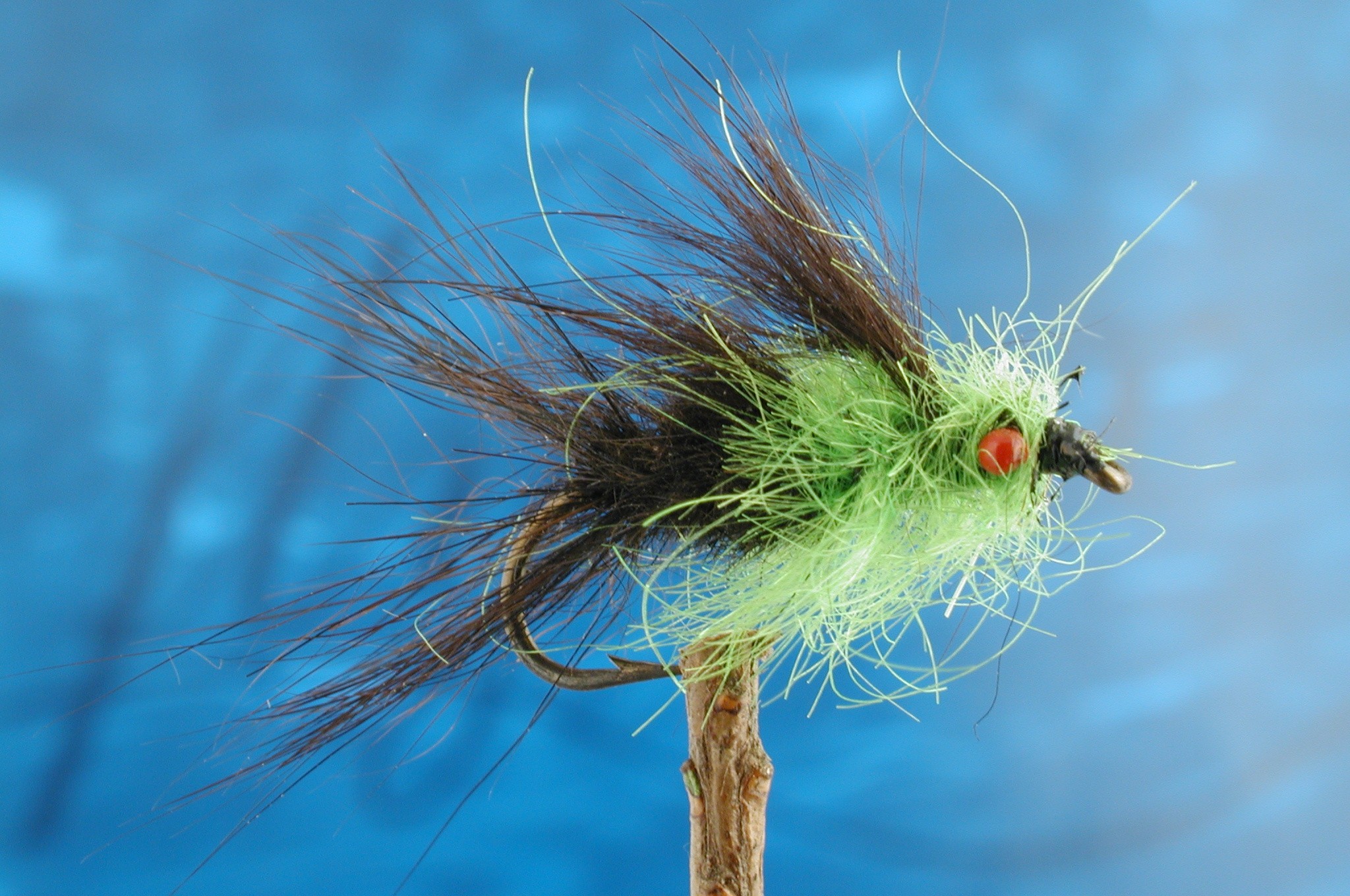 Hairy Red Eyed Macmonty  Green