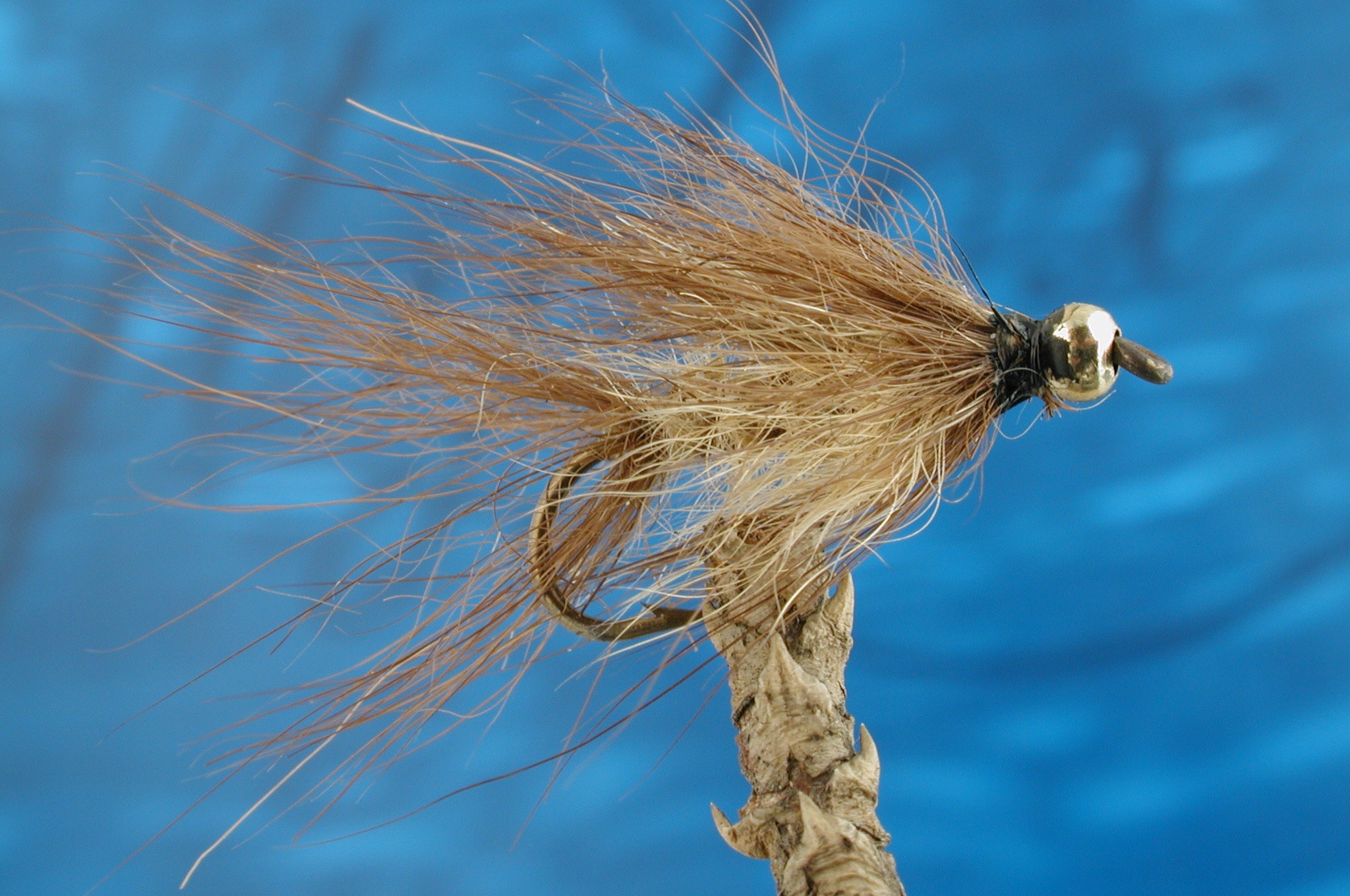 Goldhead Hairy Mayfly