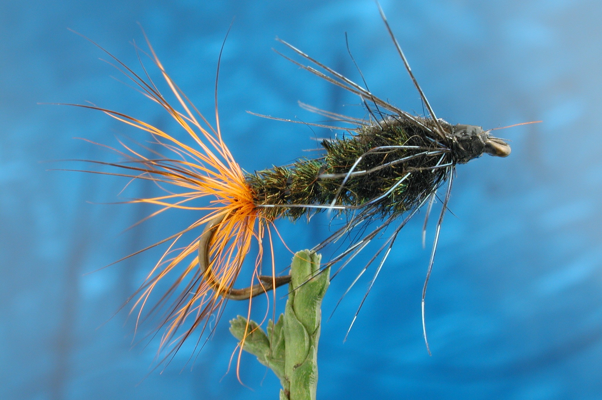 Black Gorbenmac Nymph