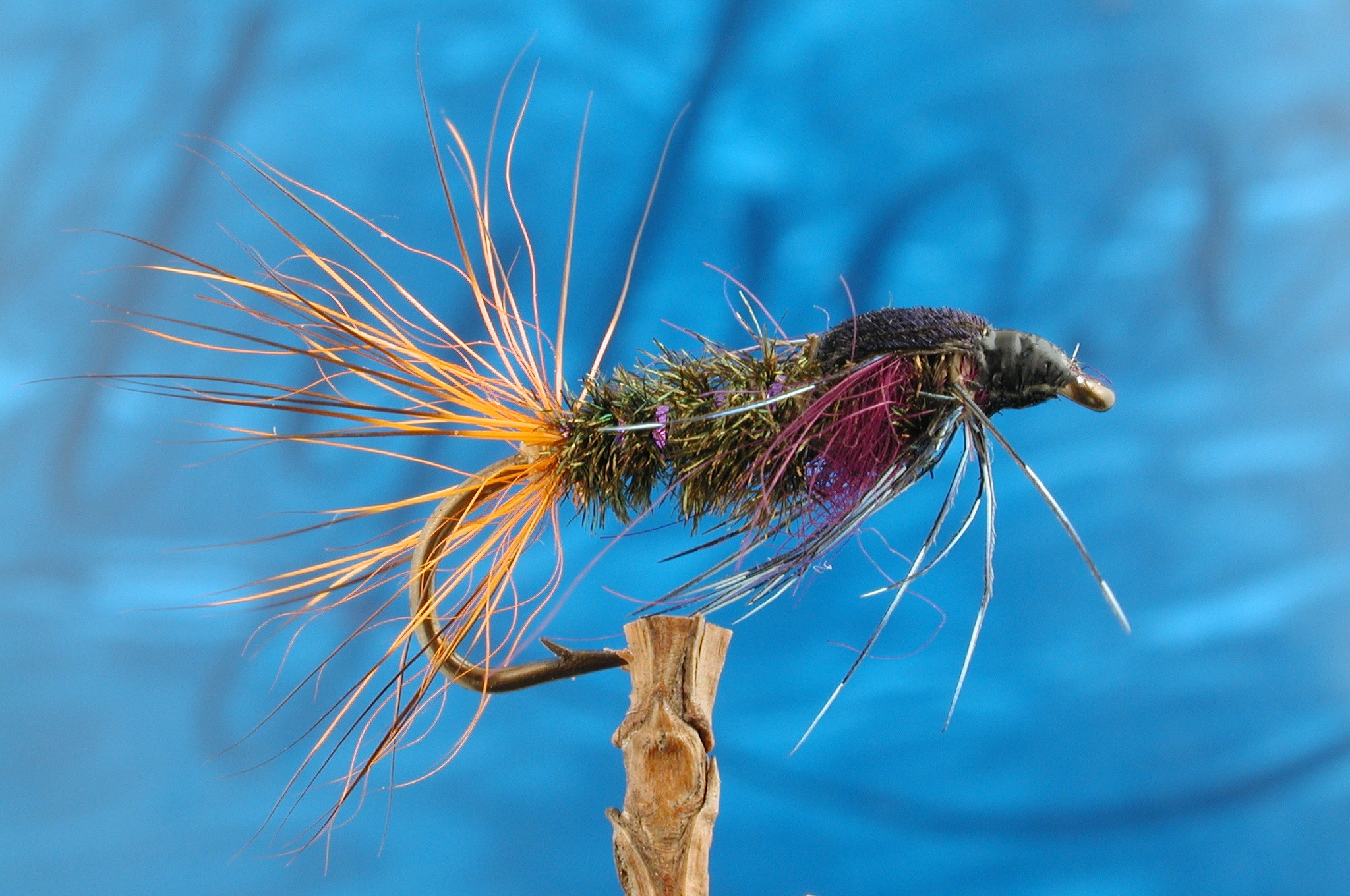 Purple Gorbenmac Nymph