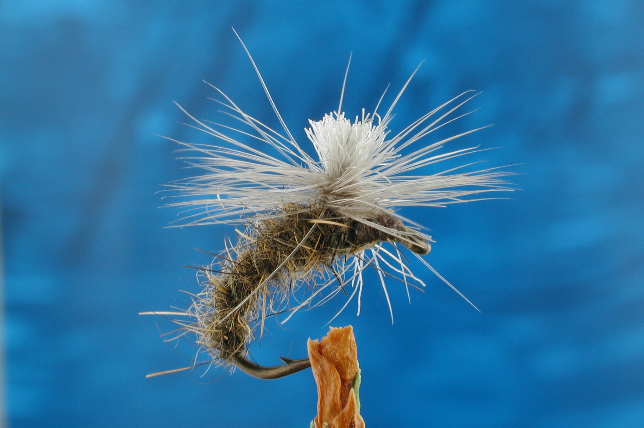 Hares Ear Para Emerger