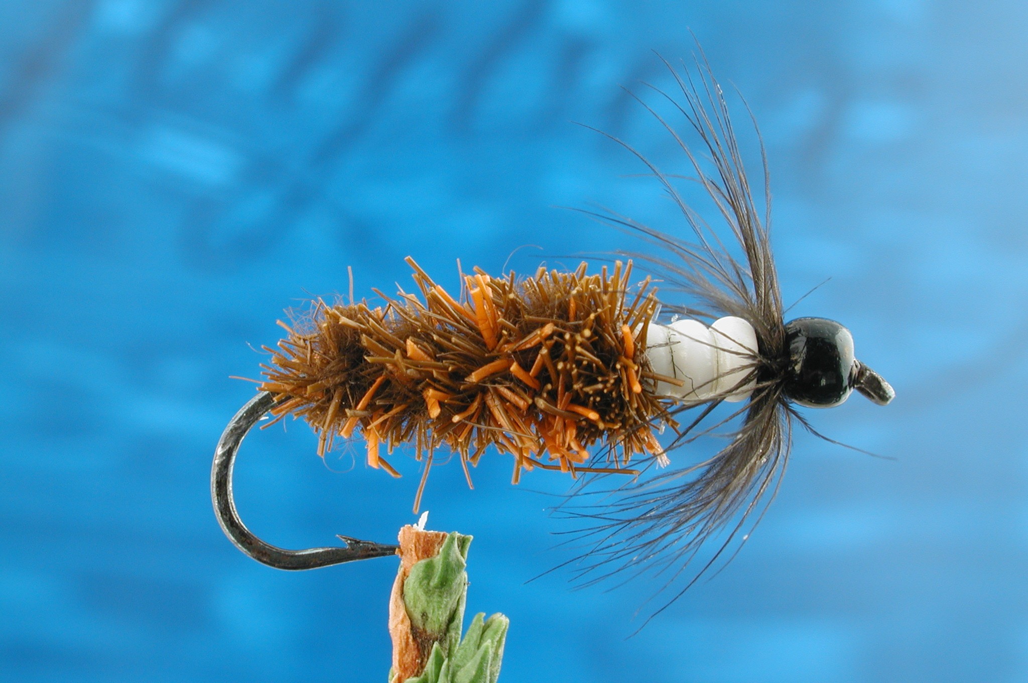 Beady Caddis