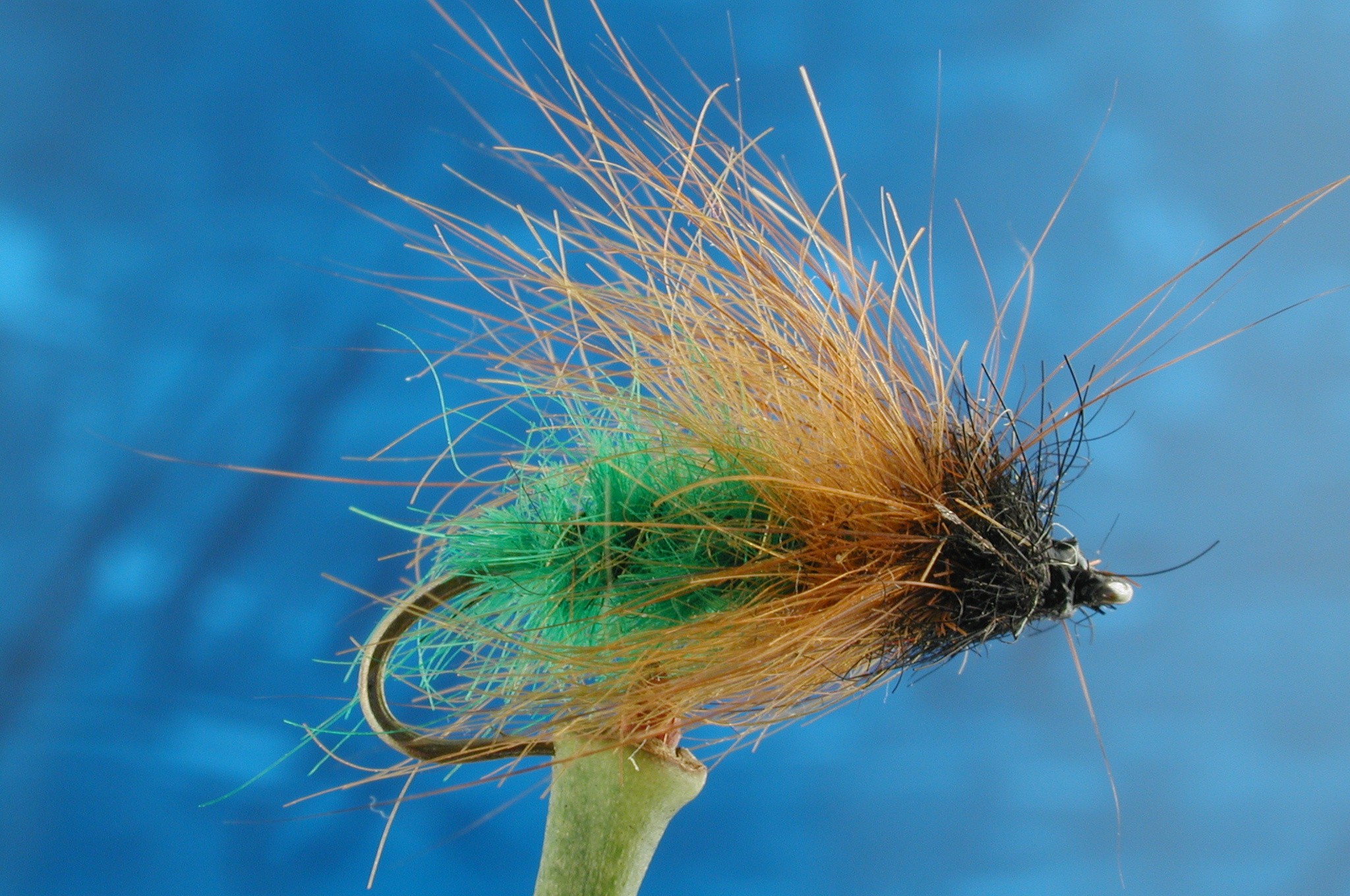 Hairy Green Caddis Larva