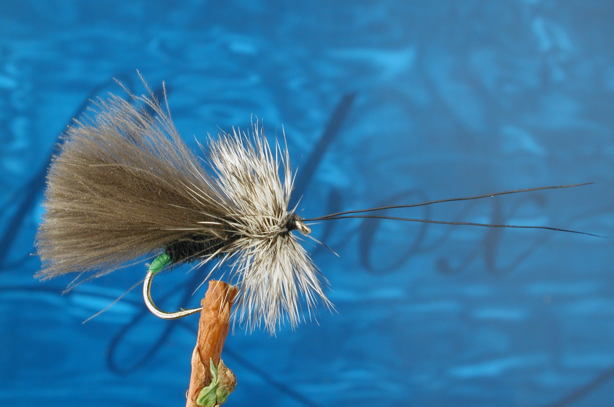 Black High Rider Sedge