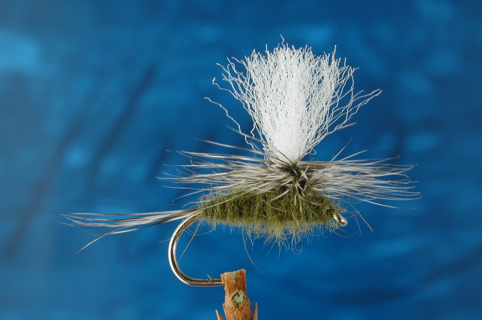 Olive Gulpar Special