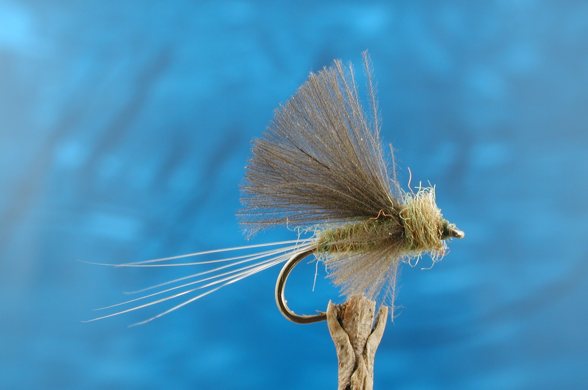 CDC Tailwater Dun Blue Winged Olive