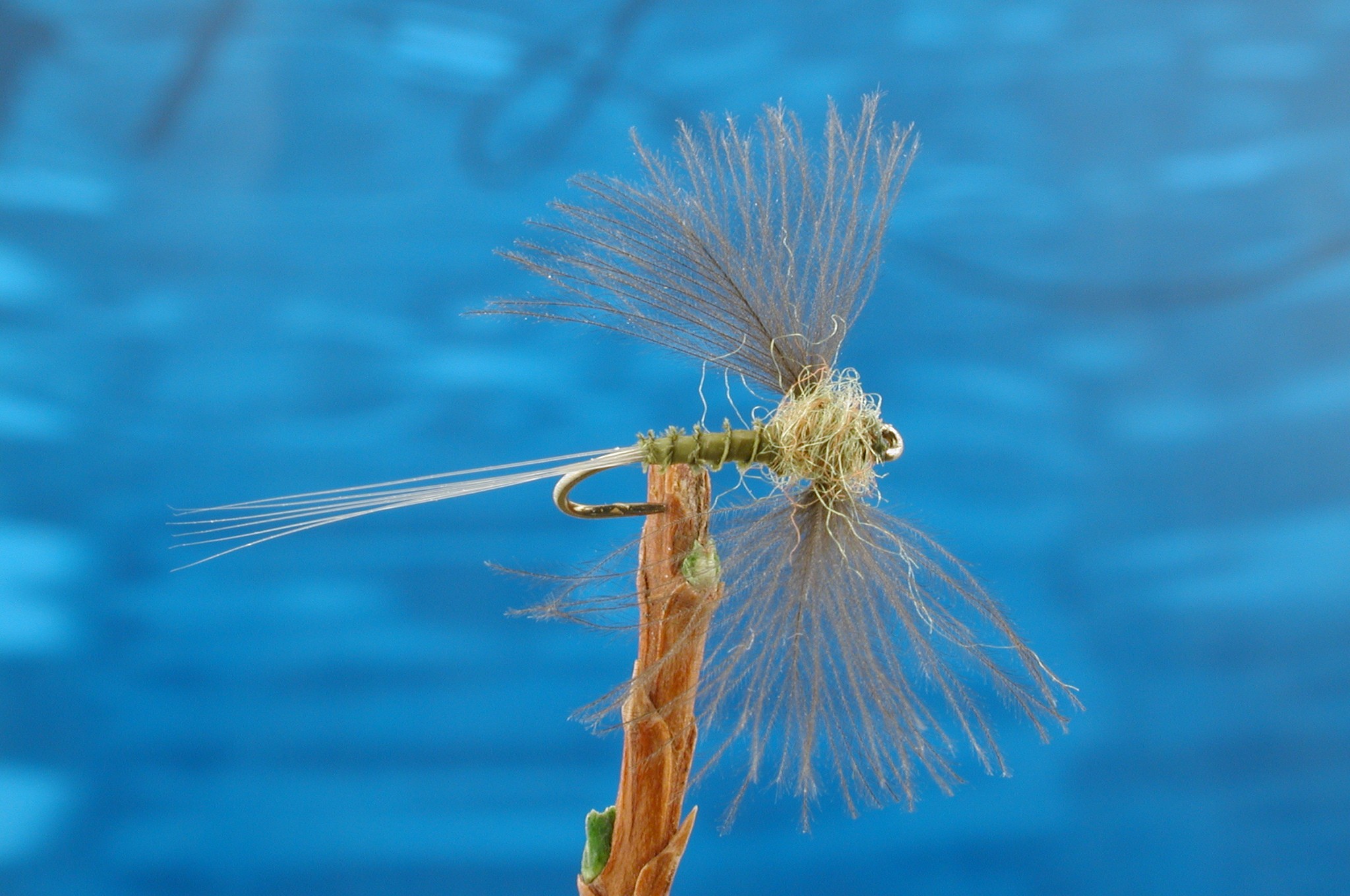 CDC Biot Spinner Blue Winged Olive