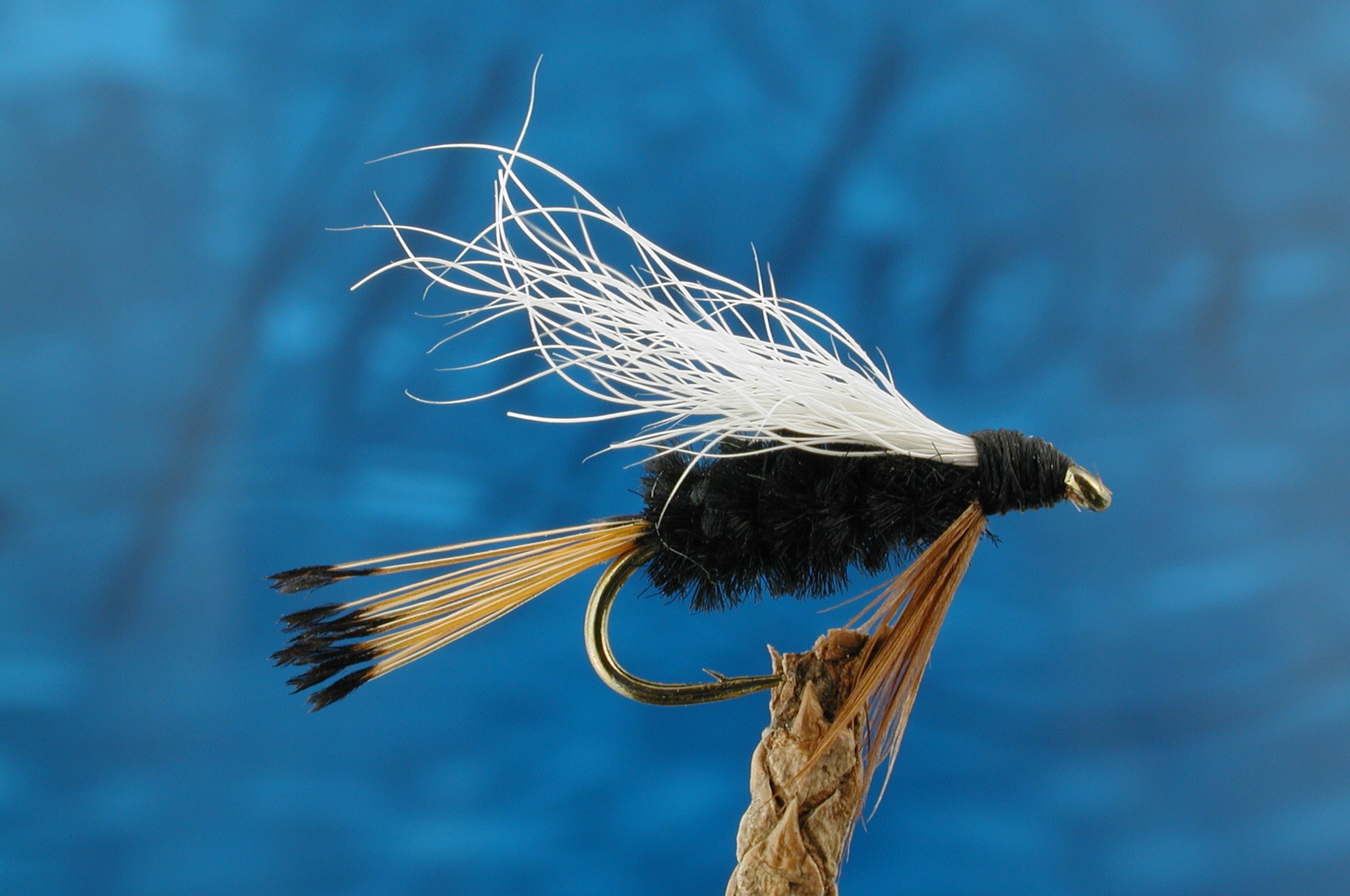 Brads Rio Grande King