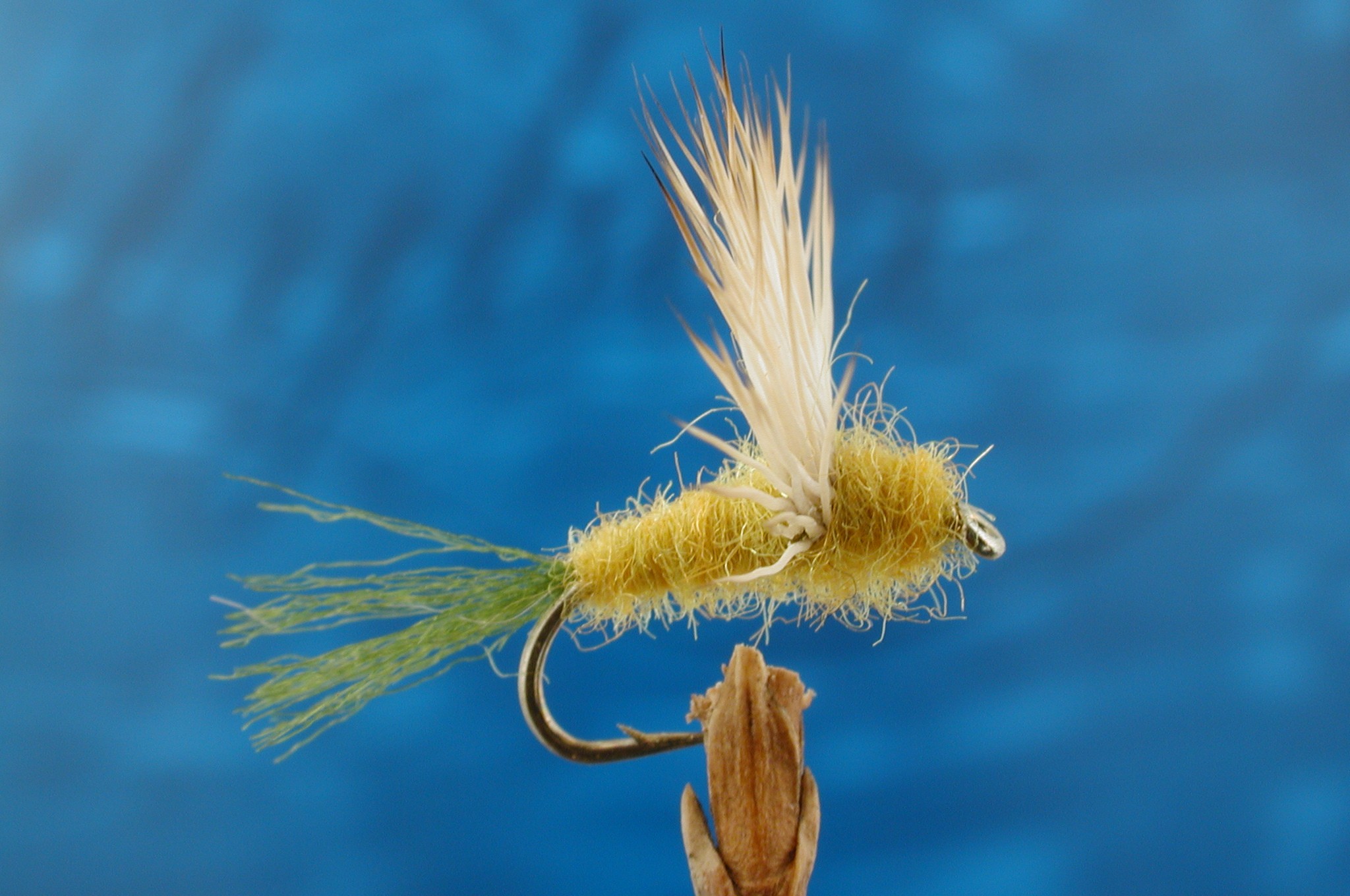 Pale Morning Sparkle Dun