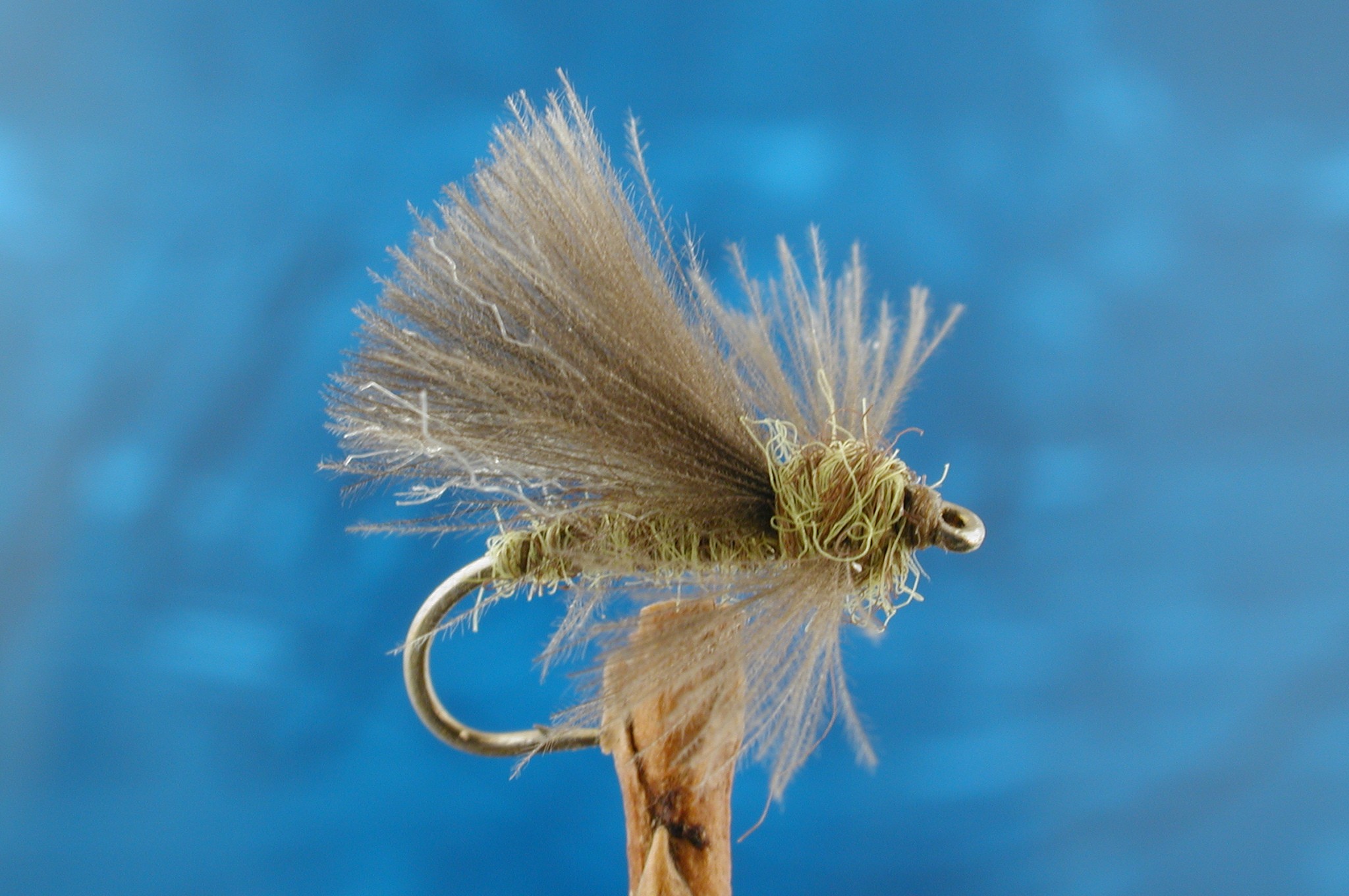 Olive CDC Adult Caddis